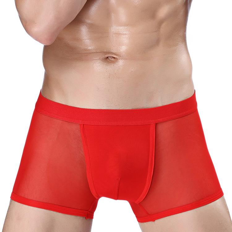 Men's Mesh Transparent Boxer Briefs Sexy Mesh Holes Hollow Breathable Four Corner Male Underwear Shorts
