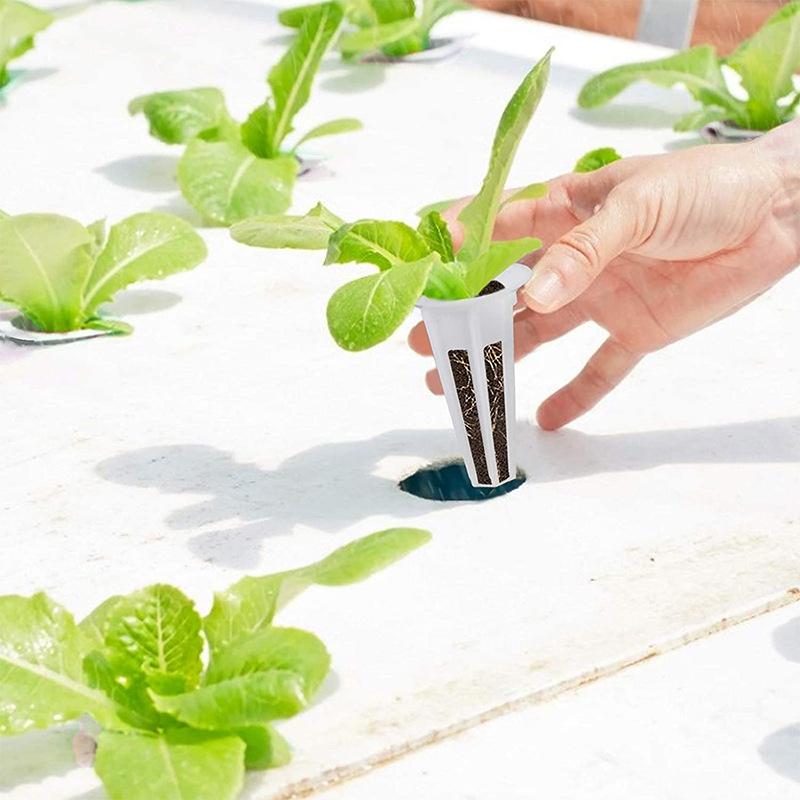 20/50Pcs Hydroponic Soils Planter Grow Baskets Soilless Seed Grow Nursery Pot Starter Hydroponic Soils Seedling Tray Pods Kits