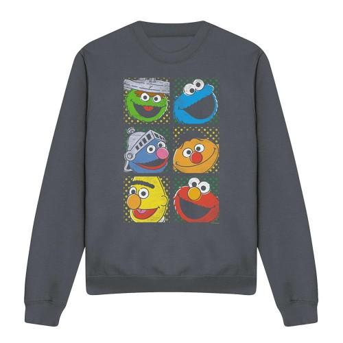 Sesame Street Unisex Adult Characters Sweatshirt