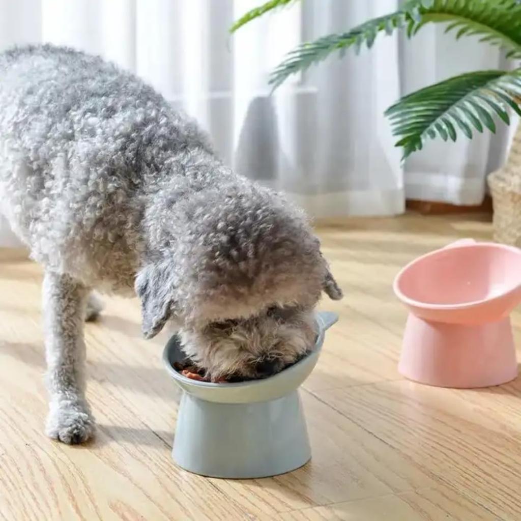 15-degree Inclined Anti-vomiting Tall Cat Food Basin Beard Protection Plastic Inclined Frame Indoor Pet Drinking Water Feeding