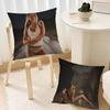 Singer Tate McRae Cushion Cover Cushion Room Bedroom Headboard Sofa Living Backrest Nap Time Pillow Case