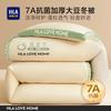 HLA 7A Antibakterielle Winterdecke aus Sojafaser
