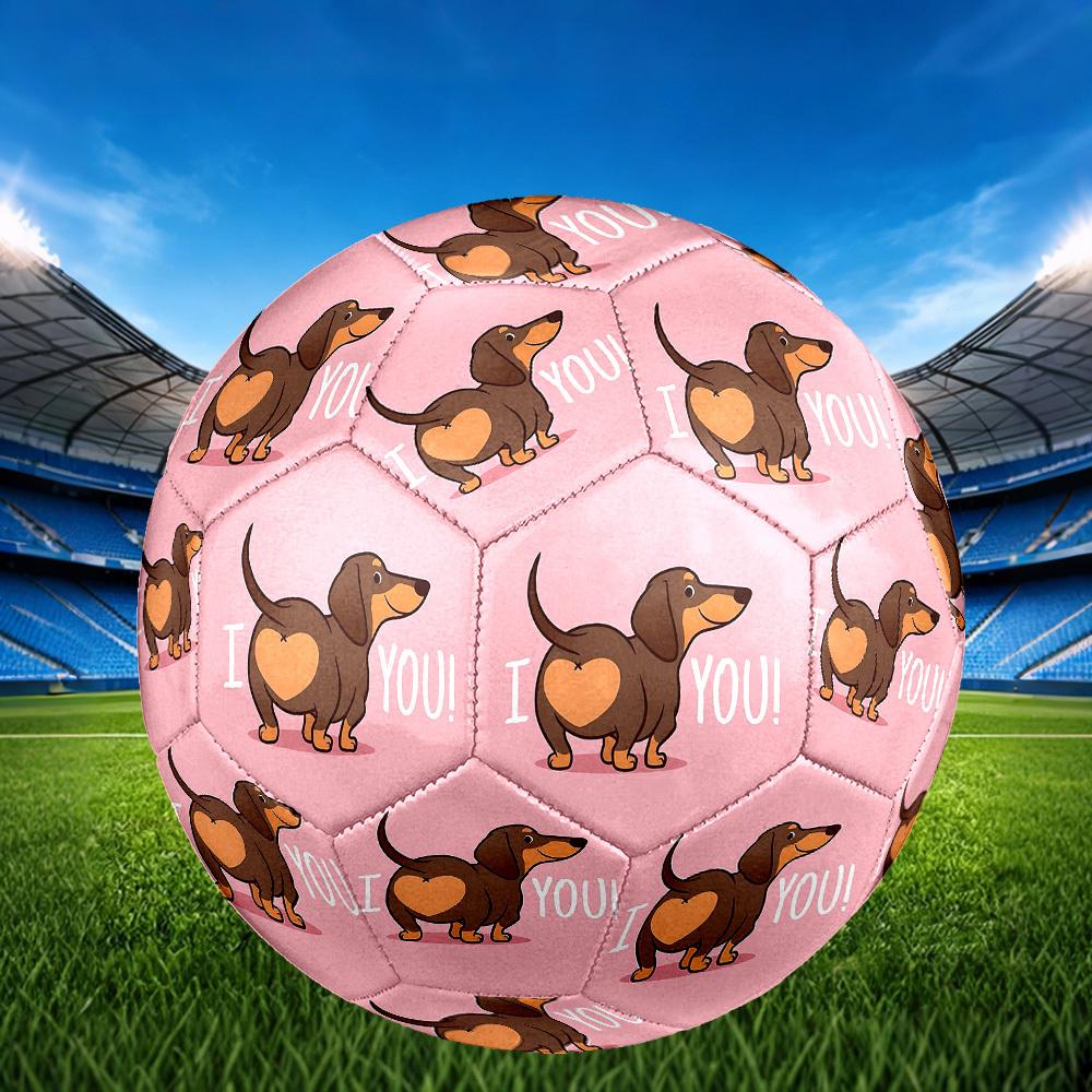 1pc Love Dog Heart Theme Soccer Ball Football, Size 5, Lightweight PVC, Outdoor Training Soccer Ball,Gift J61412