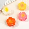 Gradient Flower Hair Claw Clip Sweet Cute Shark Clip Hair Accessories Floral Hair Claws Colorful Hairpins Accessories