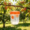 Hanging Wasp Trap Reusable Fruit Fly Trap Eco-friendly Detachable Plastic Hornet Trap with Two Entrances for Garden Orchard Effective Insect Control