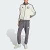 Adidas Mercedes - Amg Petronas Formula 1 Team Silver Arrow Series Mercedes Amg Petronas F1 Team Stand Collar Slim Fit Jacket Men Jackets KE8270