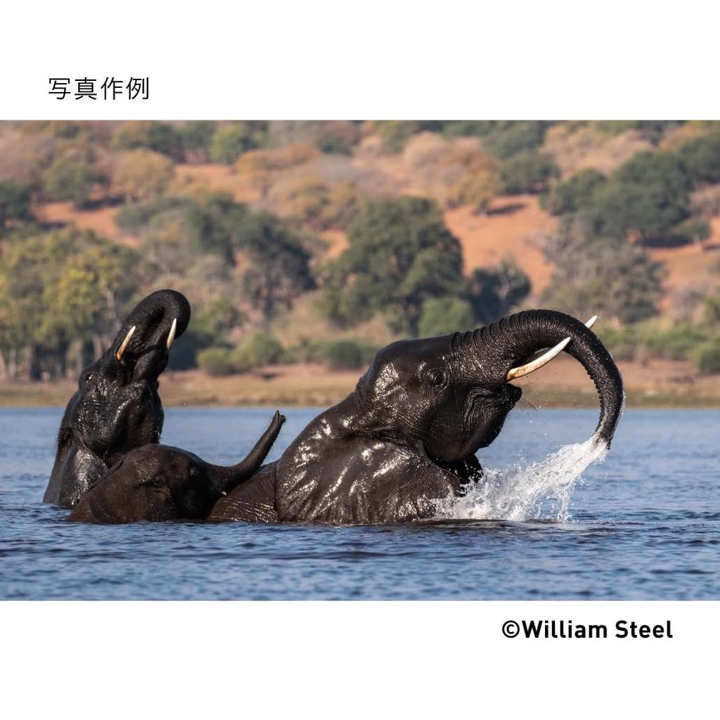 Sigma DG DN Lens for Fujifilm Zoom Telephoto Mirrorless Cameras 100-400mm F5-6.3 X-Mount Full-Frame (Contemporary)