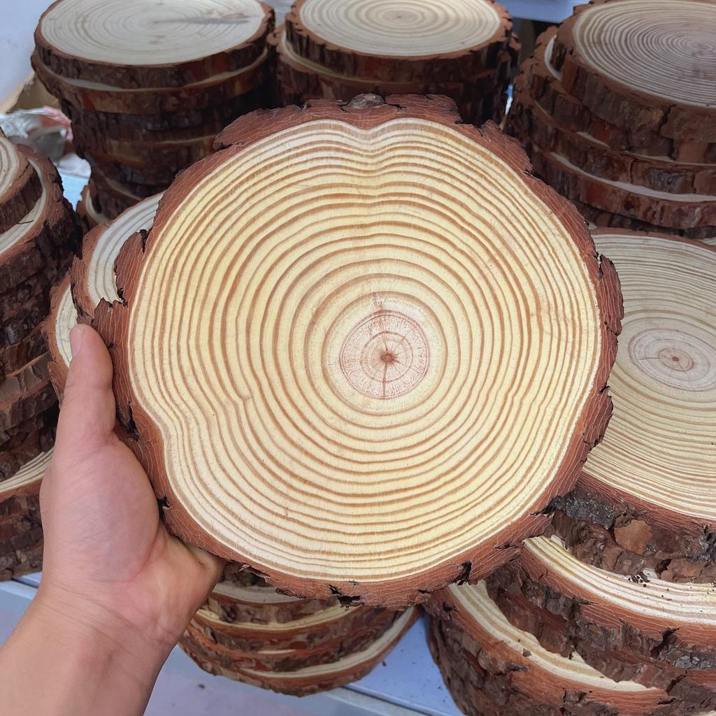 DIY Hand-Painted Wooden Slices for Crafts and Kindergarten Decor – Small Natural Wood Pieces with Growth Rings