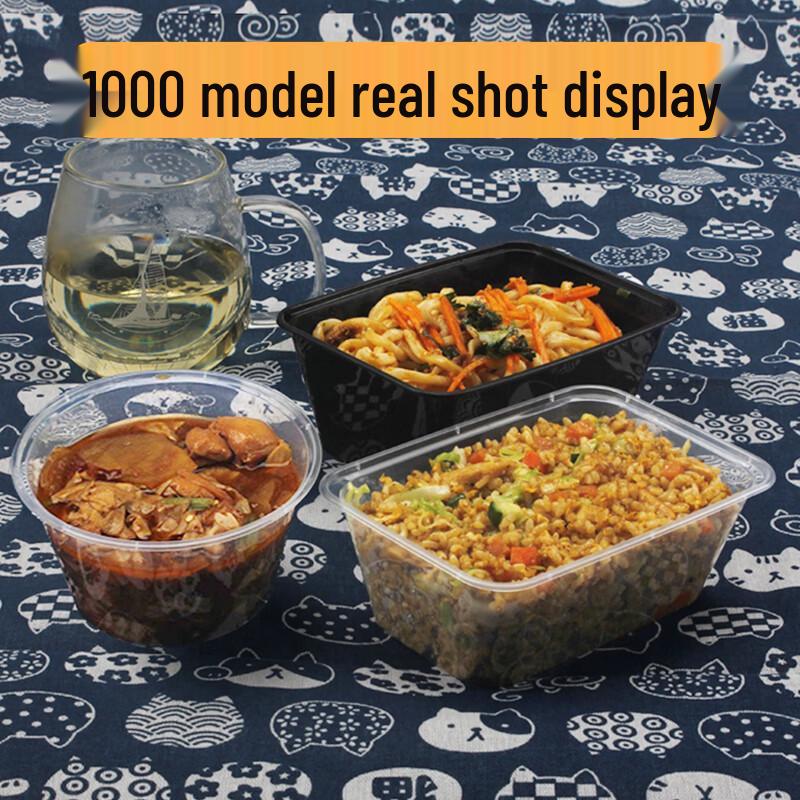 Disposable Food Container