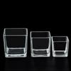 Planter Transprent Square Glass Vase Geometric Hydroponic Flower Pot Cube Vase Desktop Decor