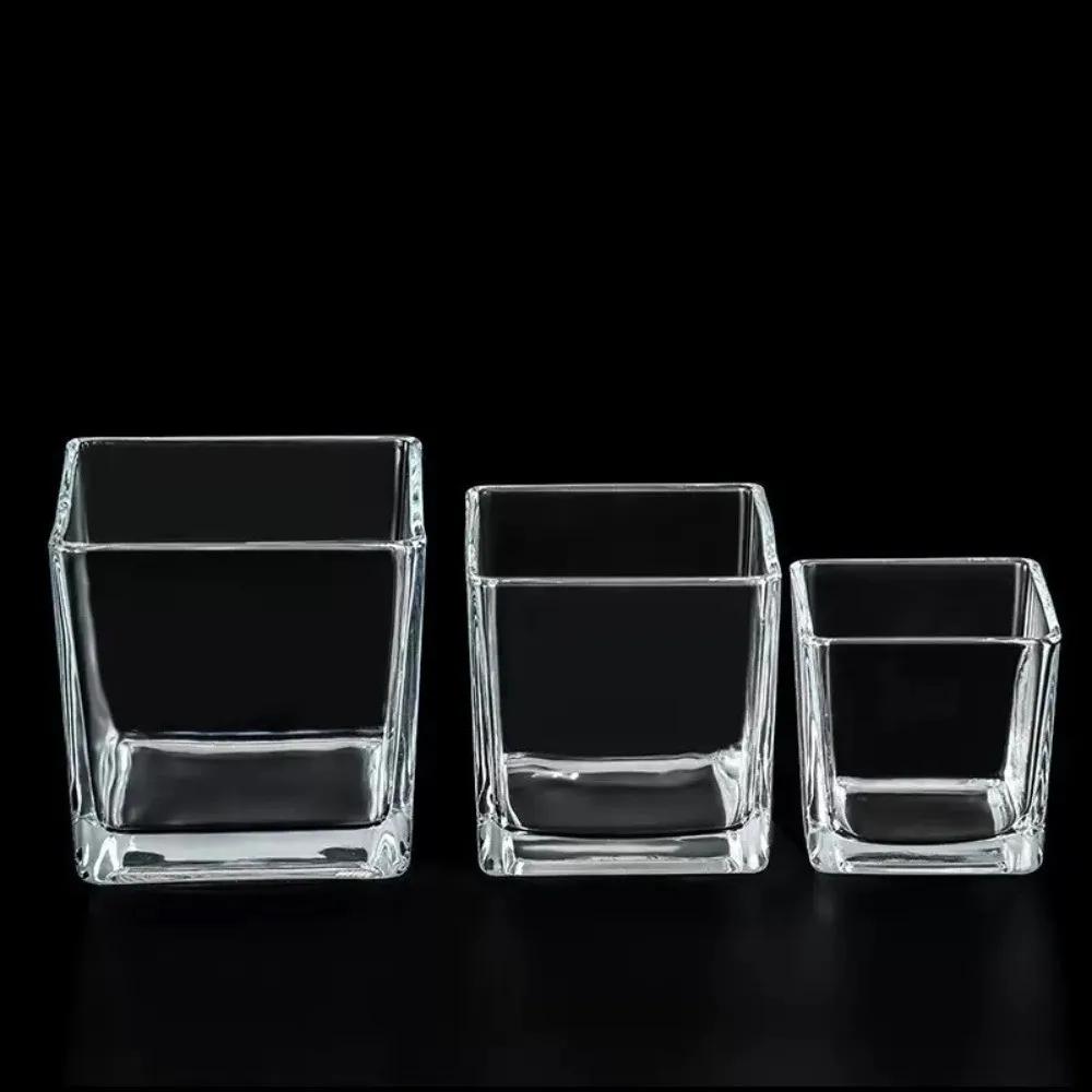 Planter Transprent Square Glass Vase Geometric Hydroponic Flower Pot Cube Vase Desktop Decor