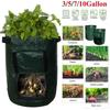Durable And Reusable Potato Bags For Balcony And Patio Gardening 10 Gallon Capacity