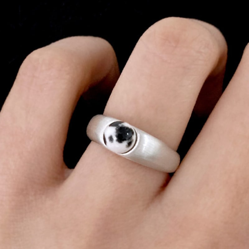 metamic The Color Ring (Dalmatian)