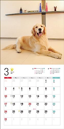 2024 Calendar Golden Retriever (Seibundo Shinkosha Calendar)