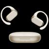 Honor Choice TiinLab Ear-hook Open-ear Sports Headphones