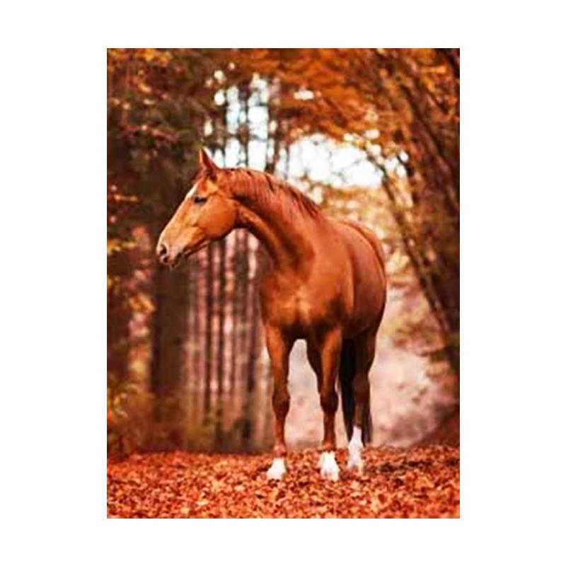 5D DIY Diamond Painting Animal Horse Kit Full Drill Round Embroidery Mosaic Art Picture of Rhinestones Home Decoration Gift