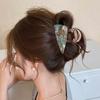Iridescent Hair Claw Clip Heavy Duty Strong Hold Stylish Hair Clamp for Women Thick Hair Banquet Travel Daily Wear