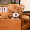 30cm Teddy Bear Doll Simulation Plush Toy Handmade Doll Cartoon Anime Cute Pillow Cushion Home Decoration Children's Birt