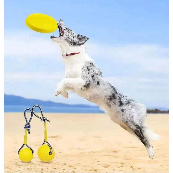 MoonZD Frisbee Dog,Durable Rubber Flying Disc,Lightweight,Indeructible Dog Chew Toys,Floats On Water–Great for Beach and Pool,Dog Interactive Toys