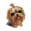 Cartoonish Cute Animal Patterns Digital Printing Short Plush Pillow Covers For Car Sofa Office Cushion Cover Home Goods