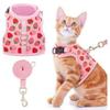 Katten – Kattenhalsbanden en -riemen