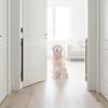 Retractable Pet Barrier Transparent Dog Gate with Hooks Extendable for Hallways