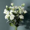 27.5 Inch Artificial Lisianthus Silk Flowers for Home Decor Wedding Bouquet Elegant Decoration