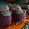 Adorabile Peluche Piccione Soffice Carino Uccellino Morbido Peluche Giocattolo Cartone Animato Coccoloso Bambola Lenire Sonno Regali di Compleanno Ragazza Decorazione Casa