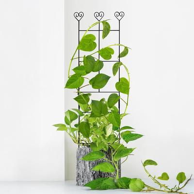 70x30cm Metall Topfpflanzen Klettergerüst Stützrahmen Fördern Pflanzenwachstum Stützständer für Zimmer- und Außenpflanzen