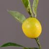 Luxury Artificial Lemon Branch Plastic Fake Plants Artificial Lemon Fruit  Home Garden