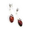 Les Trésors De Lily [I8945] - Amber 'Inspiration' Silver Earrings
