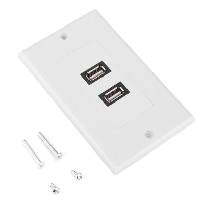 Dual Port USB2.0 Wall Plate Panel for Home Office Building Hotel Decoration