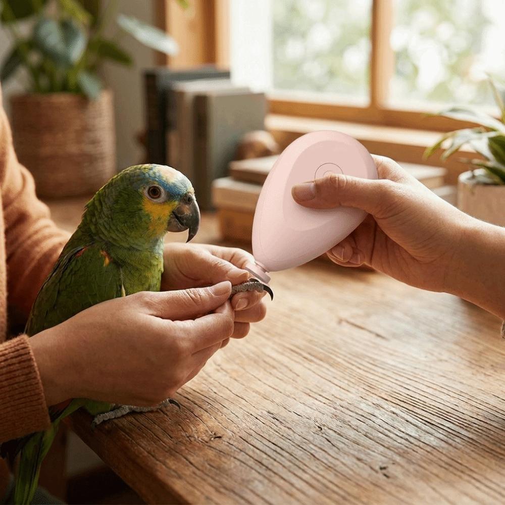 Taille-ongles électrique portable pour perroquet avec 4 têtes de polissage Coupe-ongles pour oiseau Toilettage d'animal de compagnie