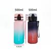 500ML Sports Water Bottle Leak Proof Colorful Plastic Cup with Filter and Portable Rope for Outdoor Travel Gym Fitness