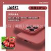 Applicable to iphone13 mobile phone case IP12 liquid silicone apple 14pro max fine hole cotton planting all-inclusive soft case