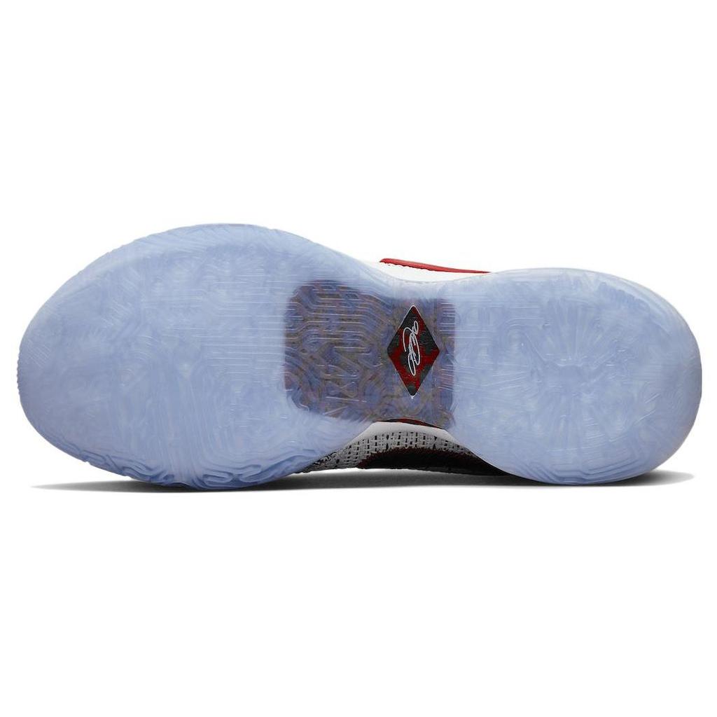 シューズ(男性用) Nike LEBRON 20 EP バスケットシューズ レブロン 20 EP LEBRON DJ5422-002