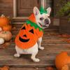 Winter Dog Coat, Warm Thick Vest for Small Medium Dogs, Leash Compatible Snowsuit, Cute Pumpkin Costume for Puppy