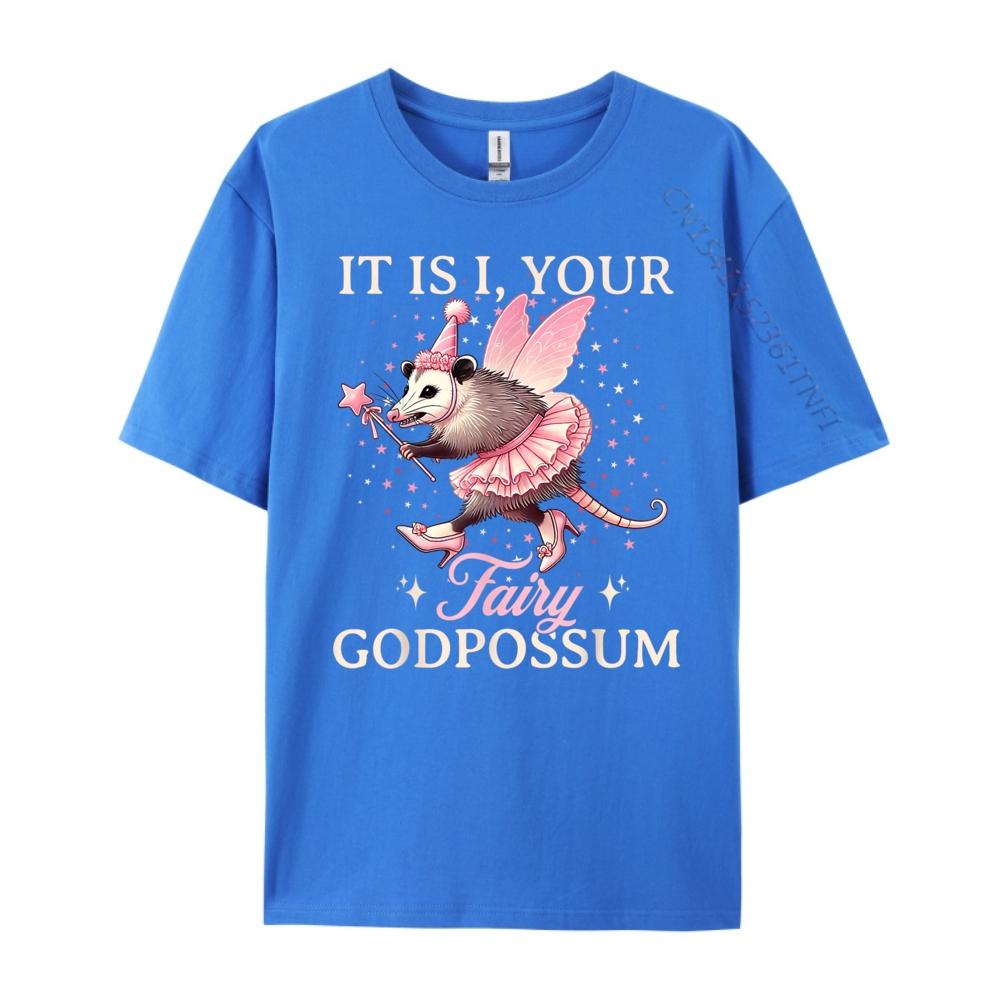 It Is I Your Fairy Godpossum Funny Opossum Spirit Animal Mens Clothing 2025 Mens Shirts Cinco De Mayo