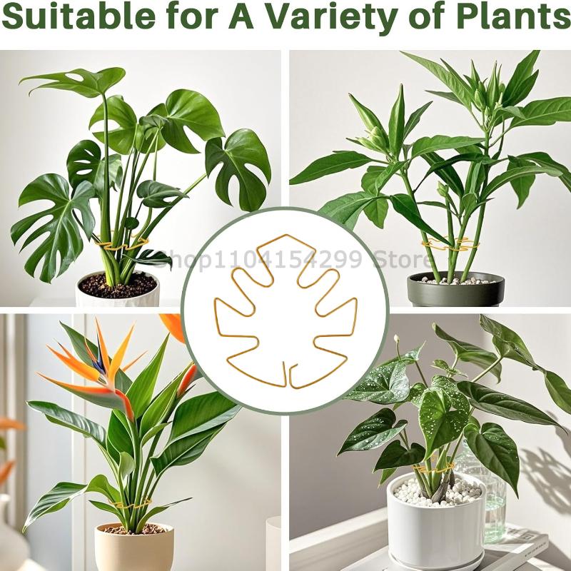 Large Monstera Plant Support Frame Sturdy Climbing Stems Leaf Stabilizer for Tall Houseplant Hanging Plant Stand plants holder