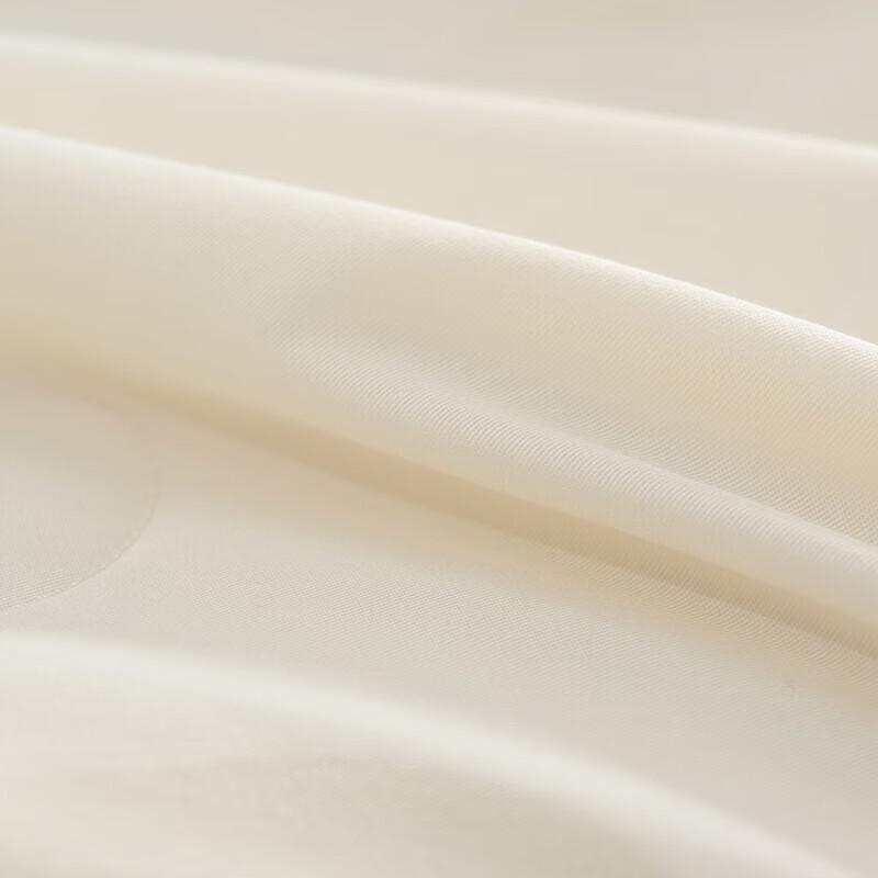 Mercury Home Textiles Warm Sunshine All-Season Mulberry Silk Duvet