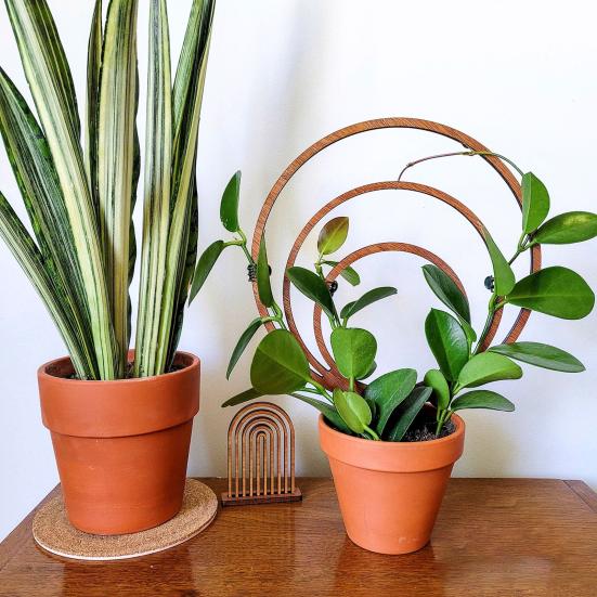 Round Wooden Plants Trellis Indoor Outdoor Potted Flowers Plants Climbing Small Houseplants Vine Ivy Support Concentric Circles Stake