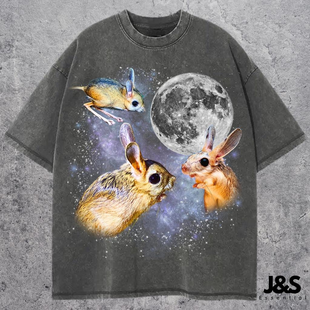 Three Gobi Jerboa Retro Graphic Tshirt, Vintage Rodent Moon Shirt, Funny Jerboa Tee, Exotic Animal Tshirt, Oversized Retro Top, Cute Gift
