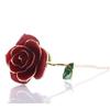With Bracket Long Stem Gold Foil Trim Rose Flower 24K Gold Plated Rose Flower  Women Men