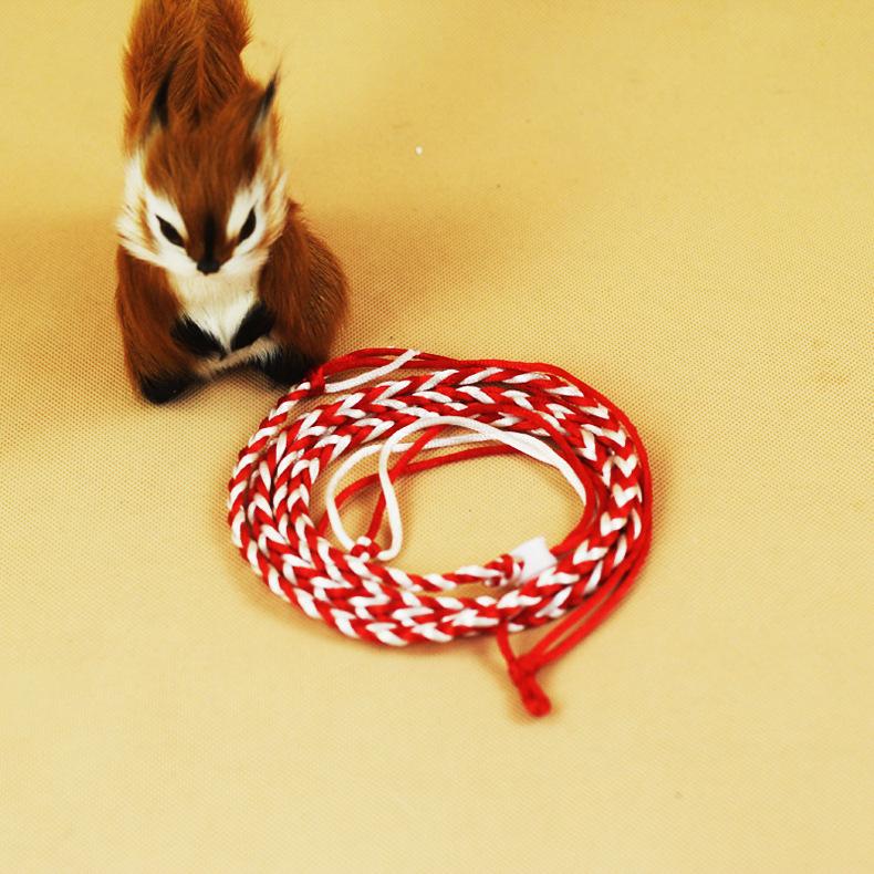 

Поводок для домашних животных Поводок для ходьбы на тяговом канате 1,4/2 м Хомяк Морская свинка Кобая Кролики Хорьки Шиншиллы Маленький ошейник Поводок 140CM красный