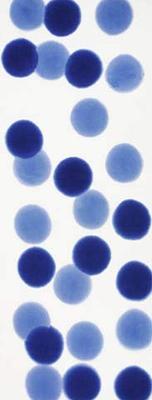 Todaya Shoten Niwa-zome Tenugui (Tenugui) Soap Bubble (Blurred) 987