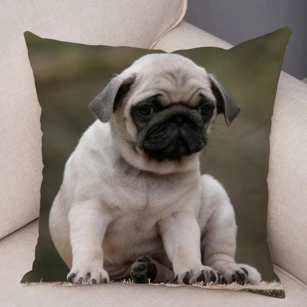 VIKAMA Nordic-Style Adorable Dog Cushion Cover Pug Print Cushion Cover Bedroom Living Room Sofa Decorative Cushion Cover