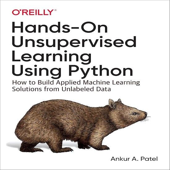 Hands-On Unsupervised Learning Using Python Paperback