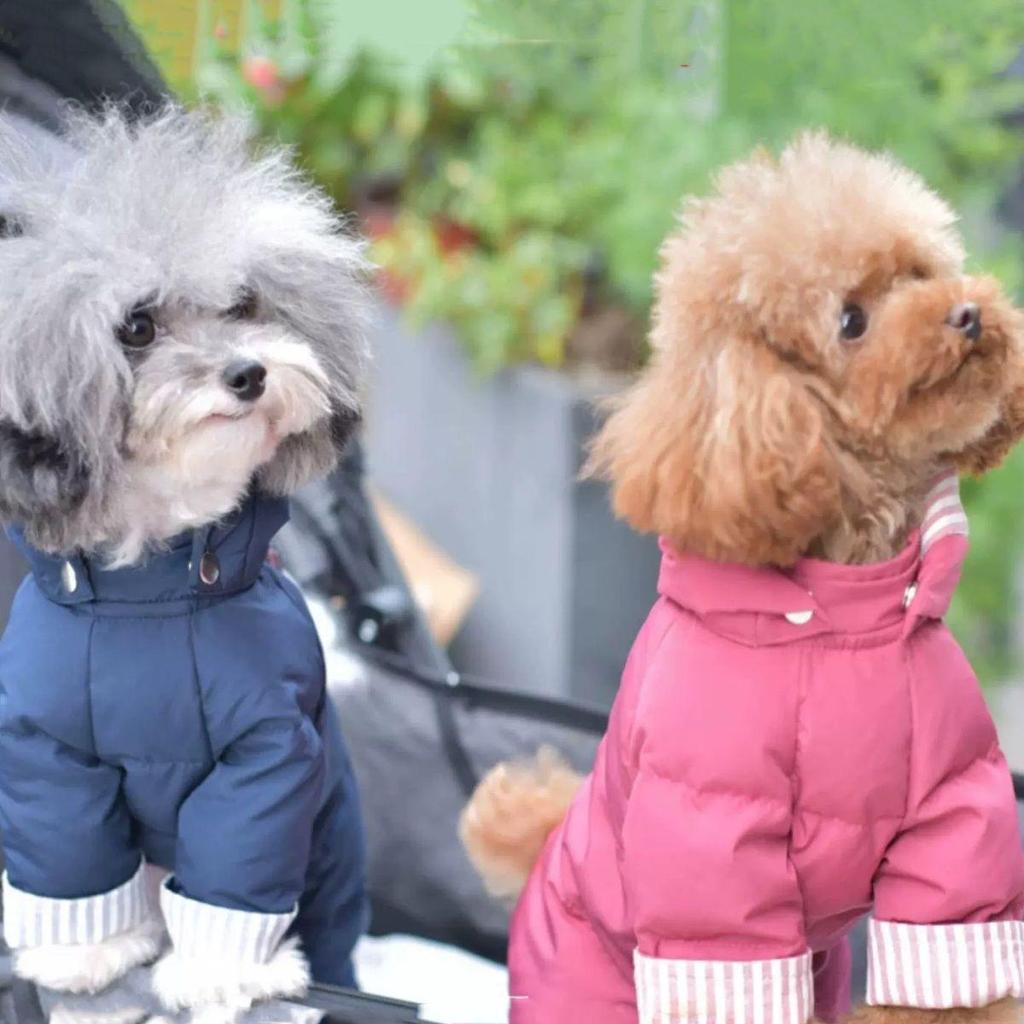 Stijlvolle Katoengevoerde Jas voor Honden - Verdikte Warme Outfit voor Mannelijke & Vrouwelijke Huisdieren, Perfect voor de Winter