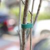 1 rolă frânghie pentru plante reutilizabilă prindere puternică nailon verde panglică vinil cravată răsucită pentru grădinărit