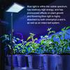 Grow Lights for Indoor Plants, Full Spectrum LED Plant Growing Lamp - Timer, Adjustable Brightness & Tripod Stand, LED Grow Lamp